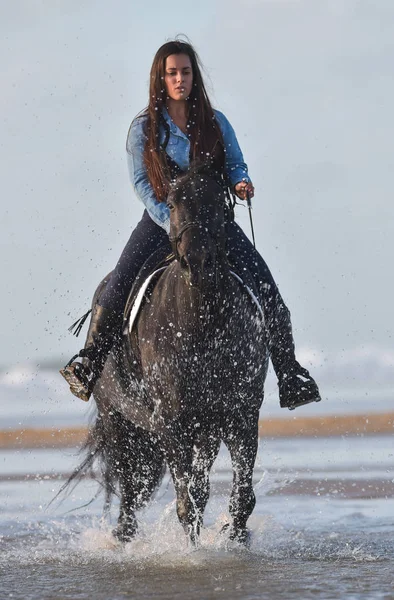 Jovem senhora montando um cavalo na praia no início da manhã — Fotografia de Stock