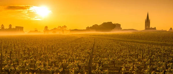 Saint Emilion Sunrise, Bordeaux Vineyard, França — Fotografia de Stock