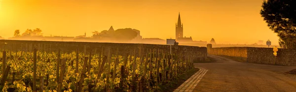 Saint Emilion Sunrise, Bordeaux Vineyard, France — Stock fotografie