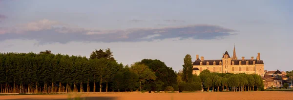 France, le château renaissance de Cadillac en Gironde — Photo