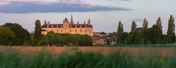 Franciaország, a reneszánsz kastély Cadillac Gironde — Stock Fotó