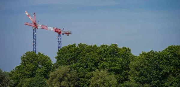 Construction crane towering above the trees, city and nature — Stock Photo, Image