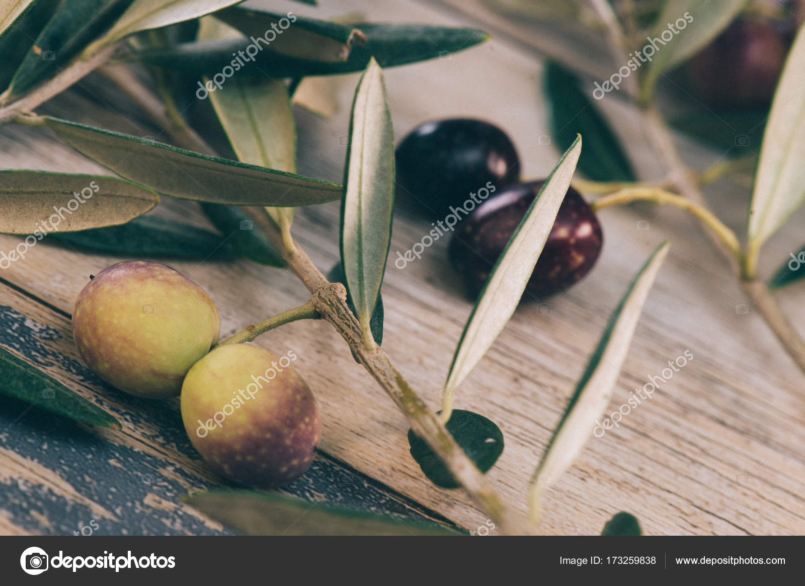 Green olives preserved in jar, preserve — Stock Photo © FreeProd 173259838