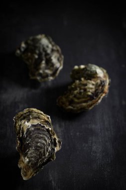 Grafit gemide çiğ istiridye