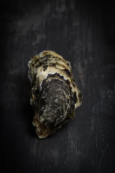 Rauwe oesters op het bord grafiet — Stockfoto