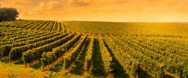 Günbatımı manzara bordeaux ÜRETIM Fransa