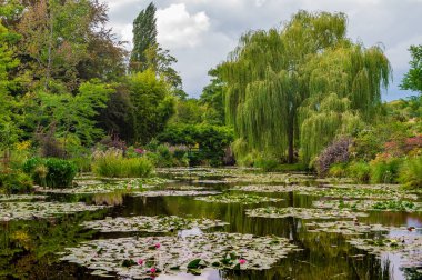Harika darbeydi Bahçe Normandie Fransa