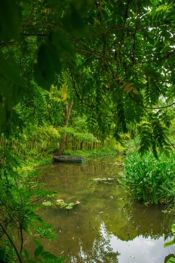 Harika darbeydi Bahçe Normandie Fransa