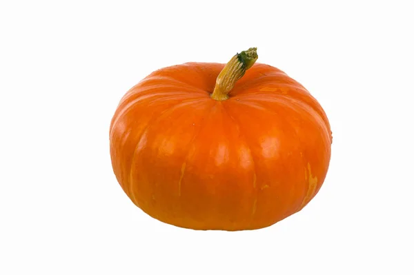 Pumpkin on white background. Fresh and orange — Stock Photo, Image