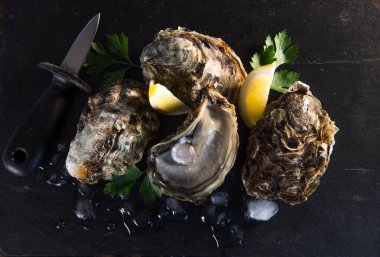 Limon ve istiridye bıçak ile taş kayrak plaka üzerinde açılan istiridye