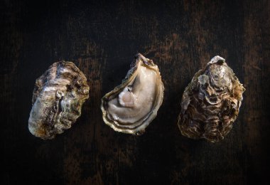 Limon ve bıçak taş kayrak plaka üzerinde açılan istiridye