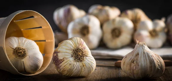 Garlic Cloves and Garlic Bulb on vintage wood background