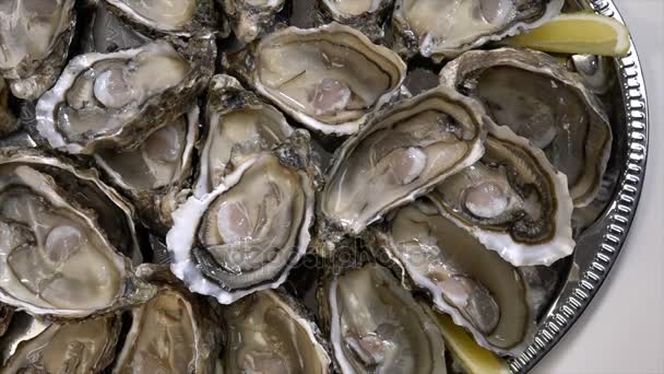 Rauwe oesters met citroen op hout bestuur en fles wijn en glas — Stockvideo