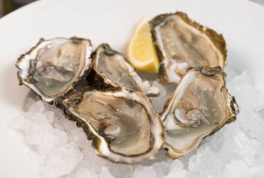 Açık ve kapalı taze istiridye üzerinde beyaz izole limon ile