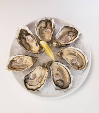 Buz ve limon beyaz bir plaka üzerinde istiridye