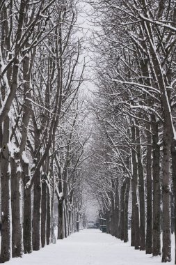 Soğuk kış günü bir şehirde, Paris