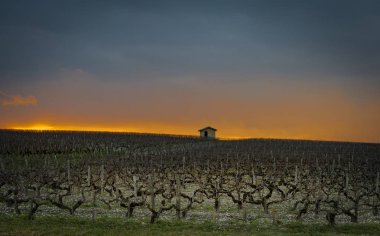 Güzel günbatımı manzara bordeaux ÜRETIM, Medoc, Fransa
