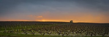 Güzel günbatımı manzara bordeaux ÜRETIM, Medoc, Fransa