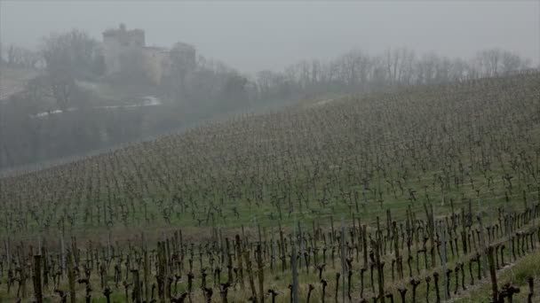 Sneeuw bedekt wijngaarden bordeaux wijnbergen — Stockvideo