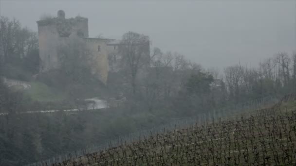 Sneeuw bedekt wijngaarden bordeaux wijnbergen — Stockvideo