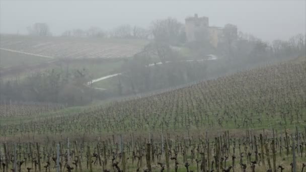 Sneeuw bedekt wijngaarden bordeaux wijnbergen — Stockvideo