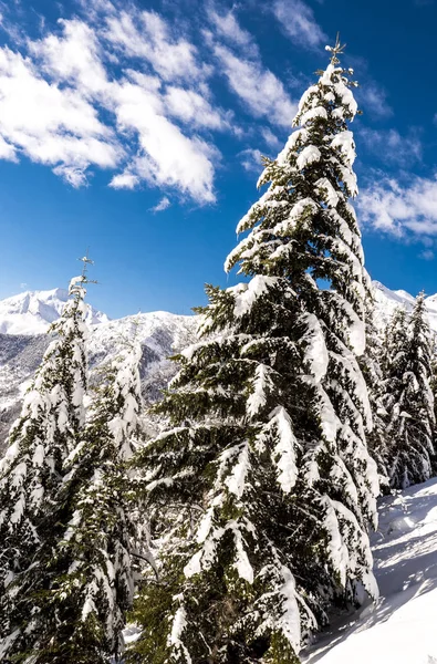 Winter mountains panorama with ski slopes, Bareges, Pyrennees — Stock Photo, Image