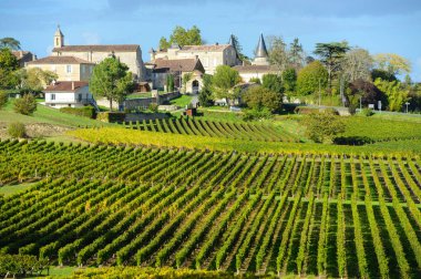 Üzüm bağları Saint Emilion, Puisseguin, Bordeaux üzüm bağları, Fransa