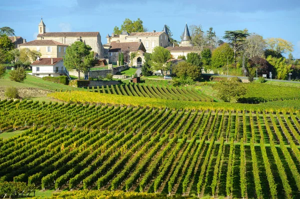 Üzüm Bağları Saint Emilion Puisseguin Bordeaux Üzüm Bağları Fransa — Stok fotoğraf