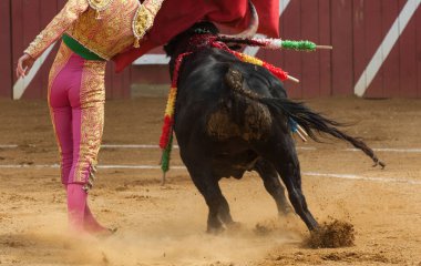 El Toro - Bullfigth corrida