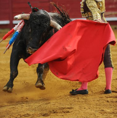 El Toro - Bullfigth corrida