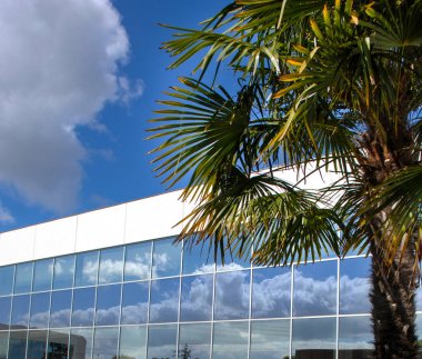 Cityscape, Office, Palm, Fransa