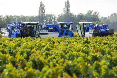 Üzüm üzüm bağı, Fransa içinde mekanik hasat