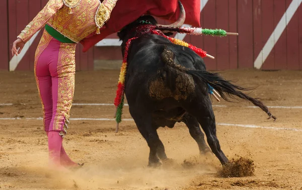 Toro Bullfigth Corrida — Stockfoto