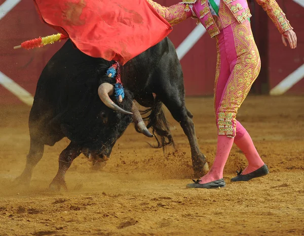 Toro Bullfigth Corrida — Stockfoto