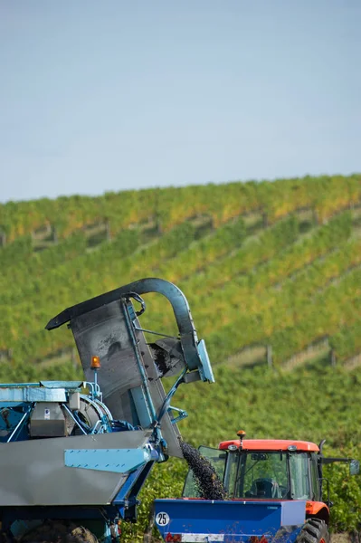 Mechanische Weinlese Weinberg Frankreich — Stockfoto