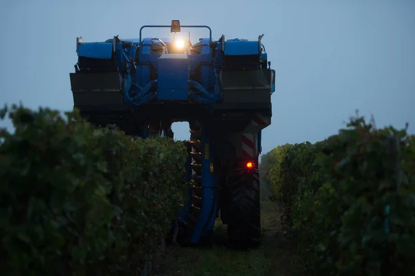 Mechanical Harvesting Grapes Vineyard France — Stock Photo, Image