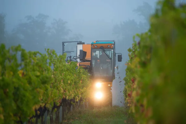 Mechanical Harvesting Grapes Vineyard France — Stock Photo, Image