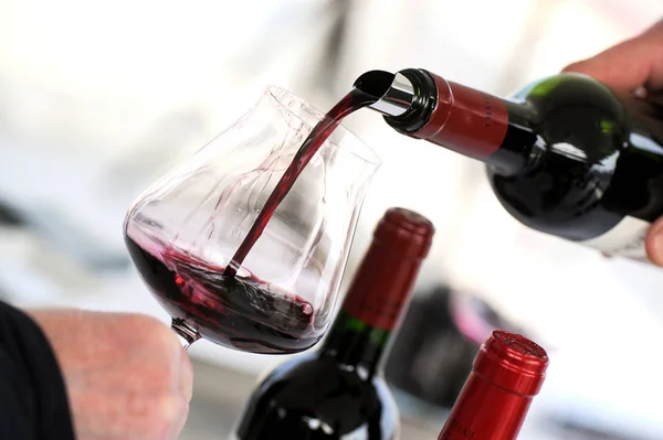 Prova de vinho em uma vinícola — Fotografia de Stock