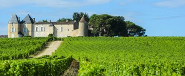 Bağ ve Chateau dyquem, Sauternes bölge, Aquitaine, Frangı