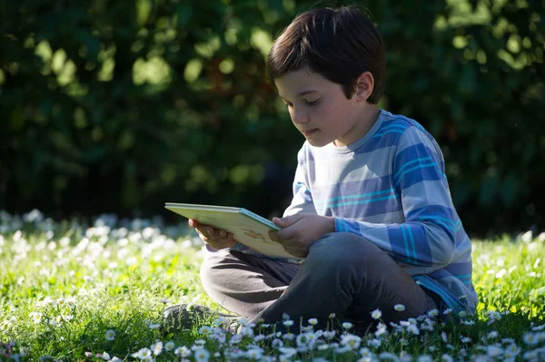 Niño leyendo un libro sentado en la hierba — Foto de Stock