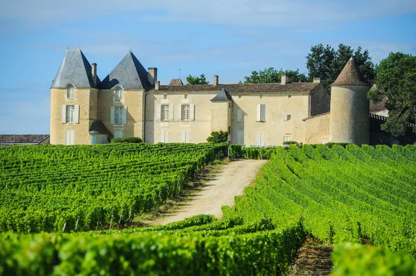 Winnicy i Chateau dyquem, Sauternes regionu Aquitaine — Zdjęcie stockowe