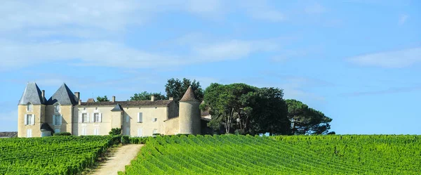 Wijngaard en kasteel, sauternes regio, aquitaine, Frankrijk — Stockfoto