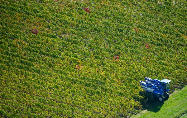Mechanical harvester of grapes, Bordeaux vineyard — Stock Photo, Image