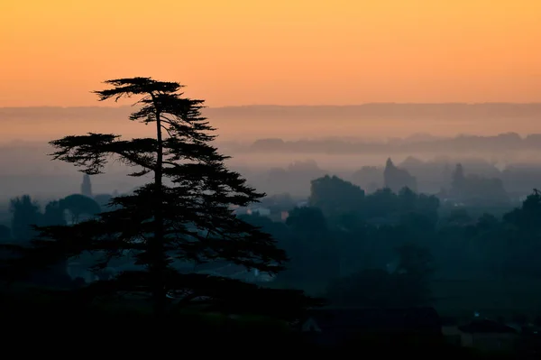 Salida Del Sol Sobre Los Viñedos Saint Emilion Paisaje —  Fotos de Stock