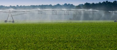 Sulama boruları ve sprey bir alanda