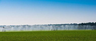 Sulama boruları ve sprey bir alanda