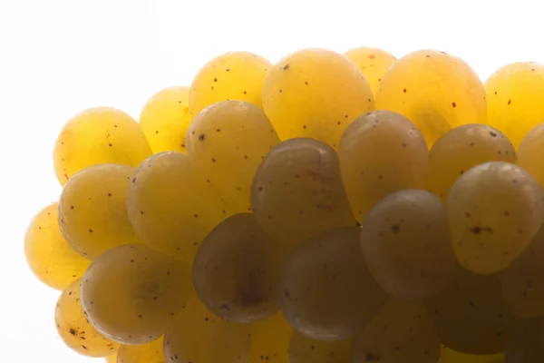 Свіжий Зелений Виноград Ізольовані Білому Совіньйоні — стокове фото