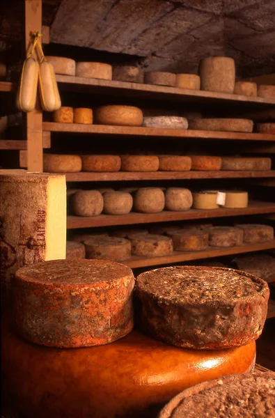 生产者洞穴中的奶酪 雷孟达 — 图库照片