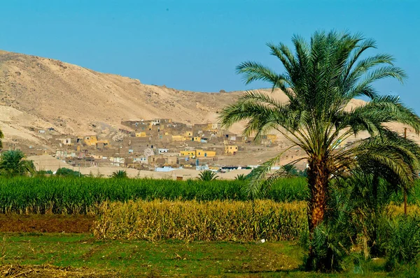 Egitto Valle Del Nilo Luxor Tebe Valle Dei Nobili — Foto Stock