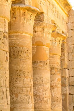 Mısır, Yukarı Mısır, Nil Vadisi, Teb Gaugue Bankası, Luxor hakkında, Medinet Habu Tapınağı Dünya Mirası